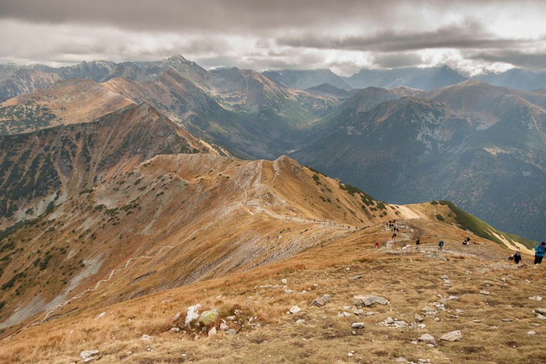 Szymon Ziobrowski o zakazach w Tatrach, wyzwaniach i ...