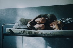 północ południe quebonafide polski film nagrody gdynia vod gdzie oglądać