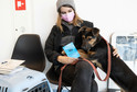 Aktywiści Stowarzyszenia Otwarte Klatki uratowali koty i psy z terenów Lwowa w Ukrainie