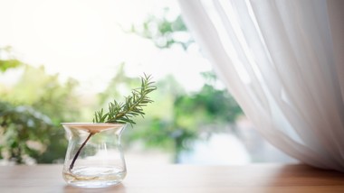 rewelacyjny sposób na piękny zapach w domu. wstaw do wazonu i postaw n