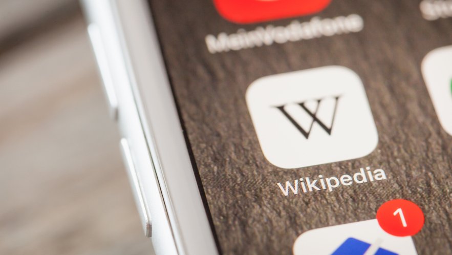  Polska Wikipedia jest jedną z największych wersji językowych internetowej encyklopedii  w Europie