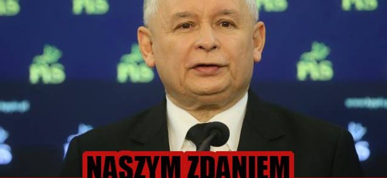 Sfałszowane Oscary, powrót Hofmana i król Komorowski. MEMY TYGODNIA