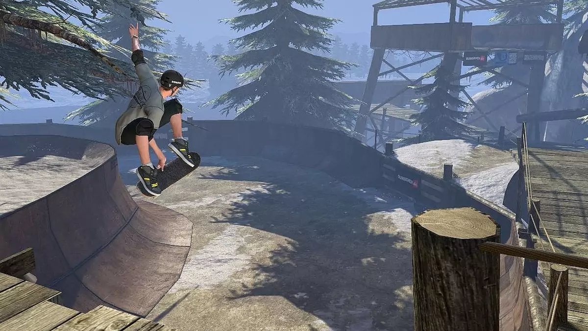 Tony Hawk