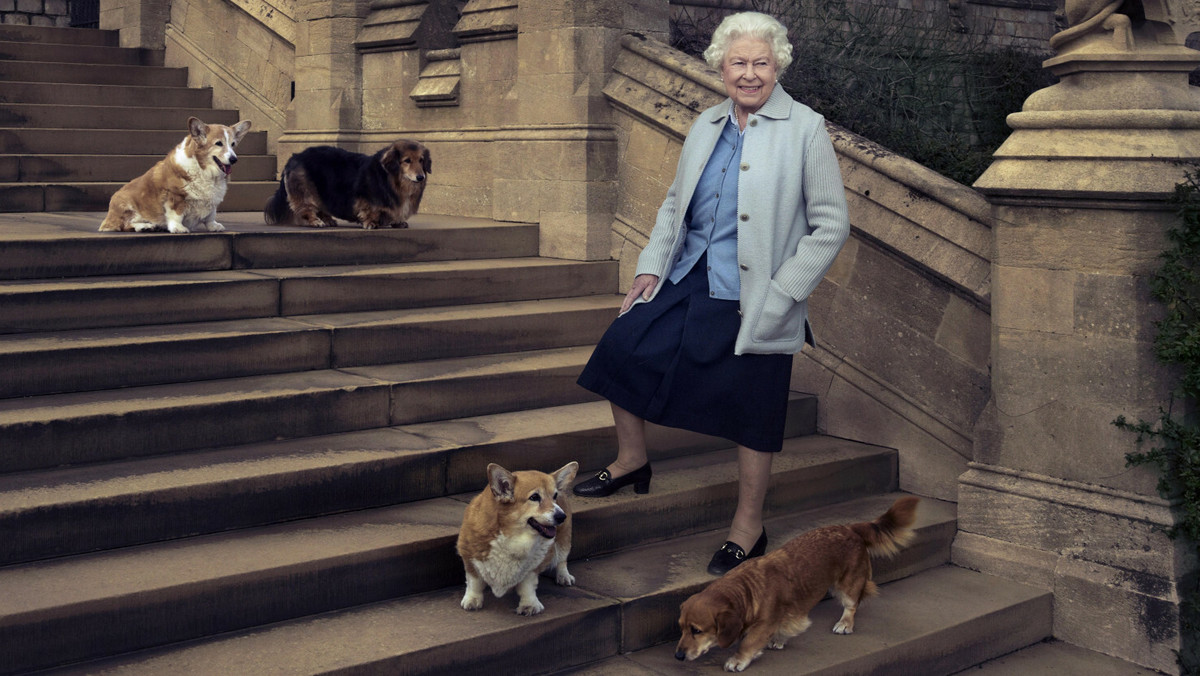 Elżbieta II dostała dwa szczeniaki rasy corgi. Mają pomóc jej przetrwać trudny czas