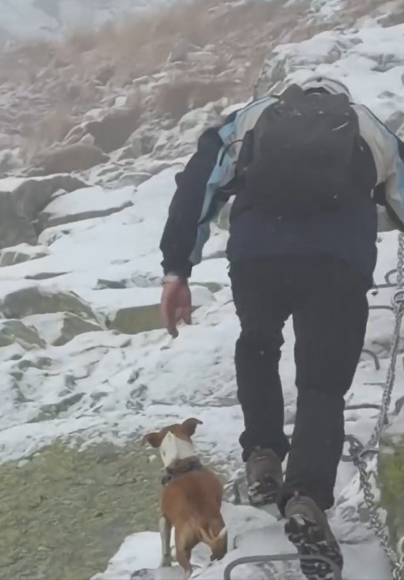 Nepochopiteľné rozhodnutie turistu rozhnevalo verejnosť.
