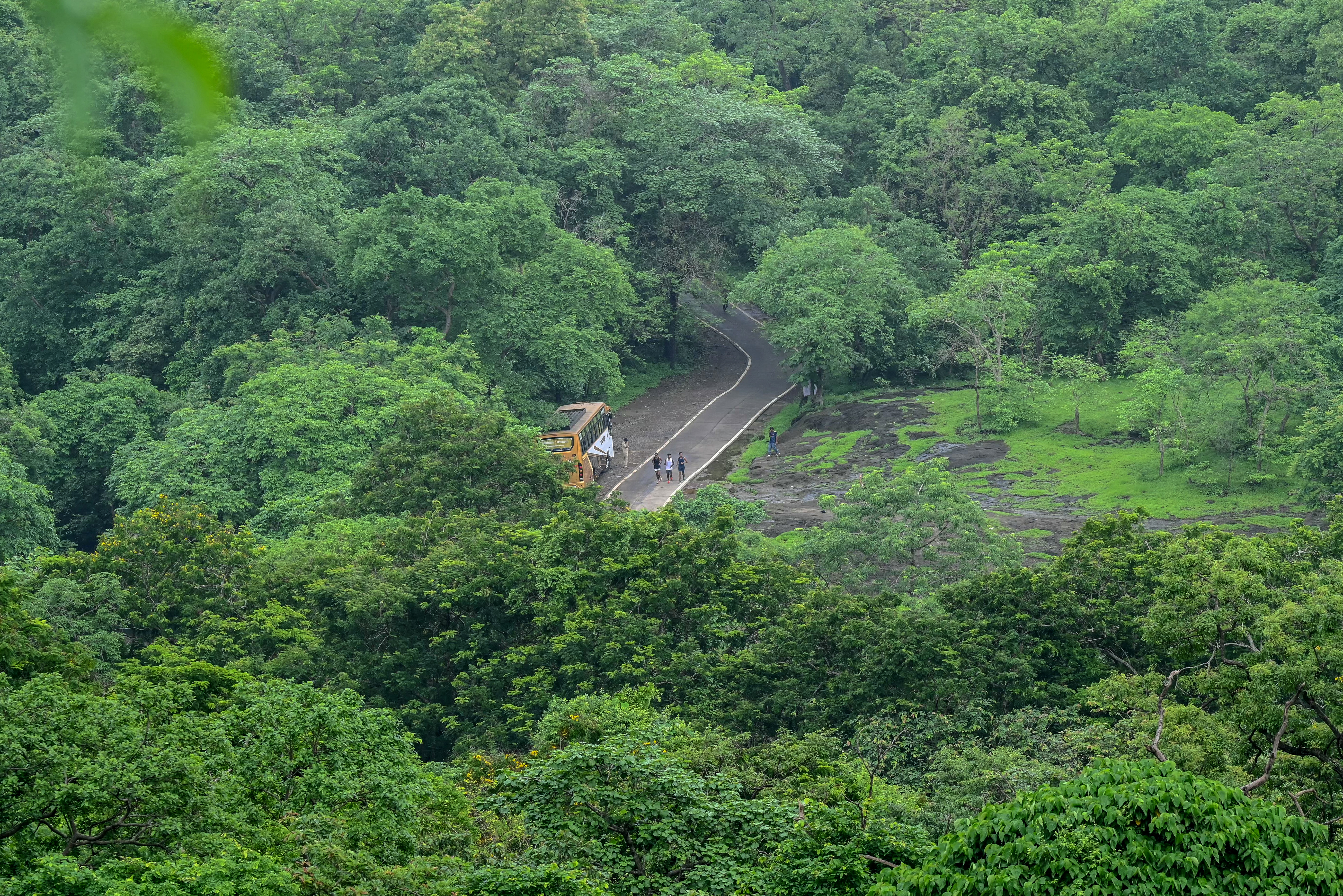 Camminare veloce allunga la vita: 15 min riducono mortalità