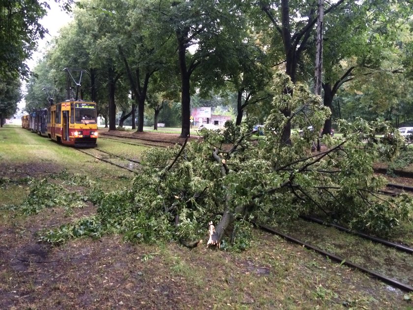 Alarm dla Łodzi. Idą burze, trąby powietrzne i grad