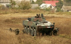 Talibowie nie pokonali Rosomaka. Biurokracja tak