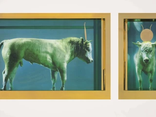 Damien Hirst - "The Golden Calf". Sprzedany za 9 200 000 funtów