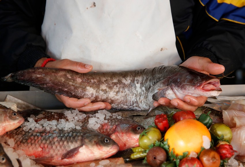 Riba je tražena zbog Božićnog posta, a cena šarana je za oko 10 dinara viša nego pre mesec dana