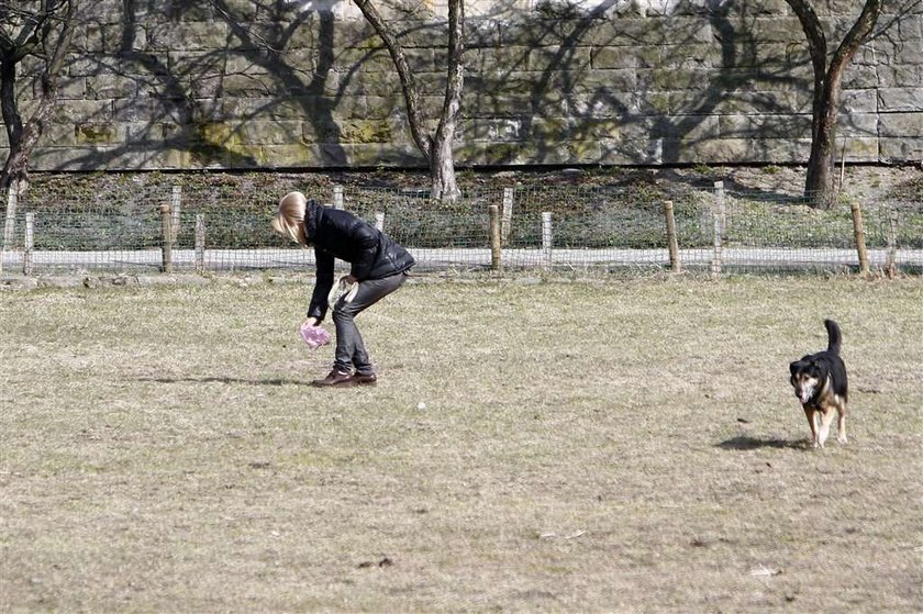 Torbicka sprząta po psie. Foto