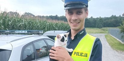 Policjant uratował zagubionego kotka. Maluch całkiem skradł mu serce...