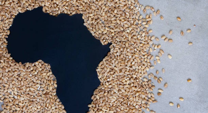 the-russia-africa-summit-and-black-sea-grain-31-07-2023-18-05-09