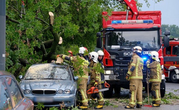 Strażacy usuwają powalone drzewo