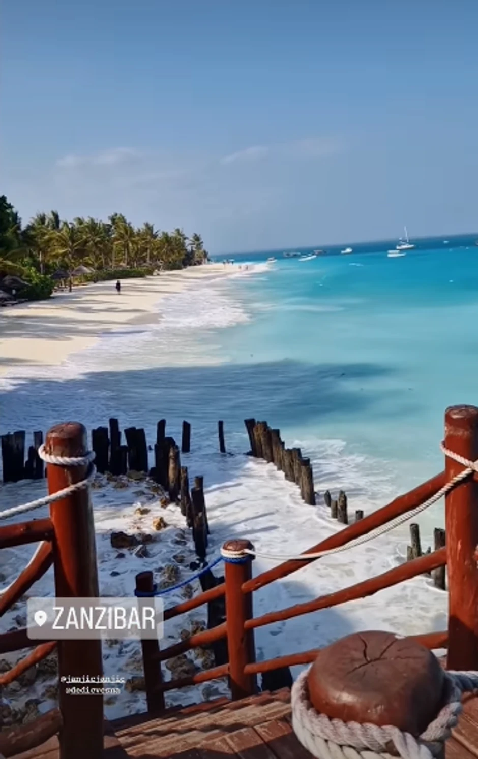 Vesna Dedić na Zanzibaru