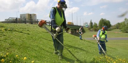 Jaką wysokość powinna mieć skoszona trwa?