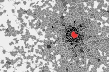Koronawirus uziemił Polaków? Tak w czasie pandemii przemieszczali się autami po kraju [MAPY]