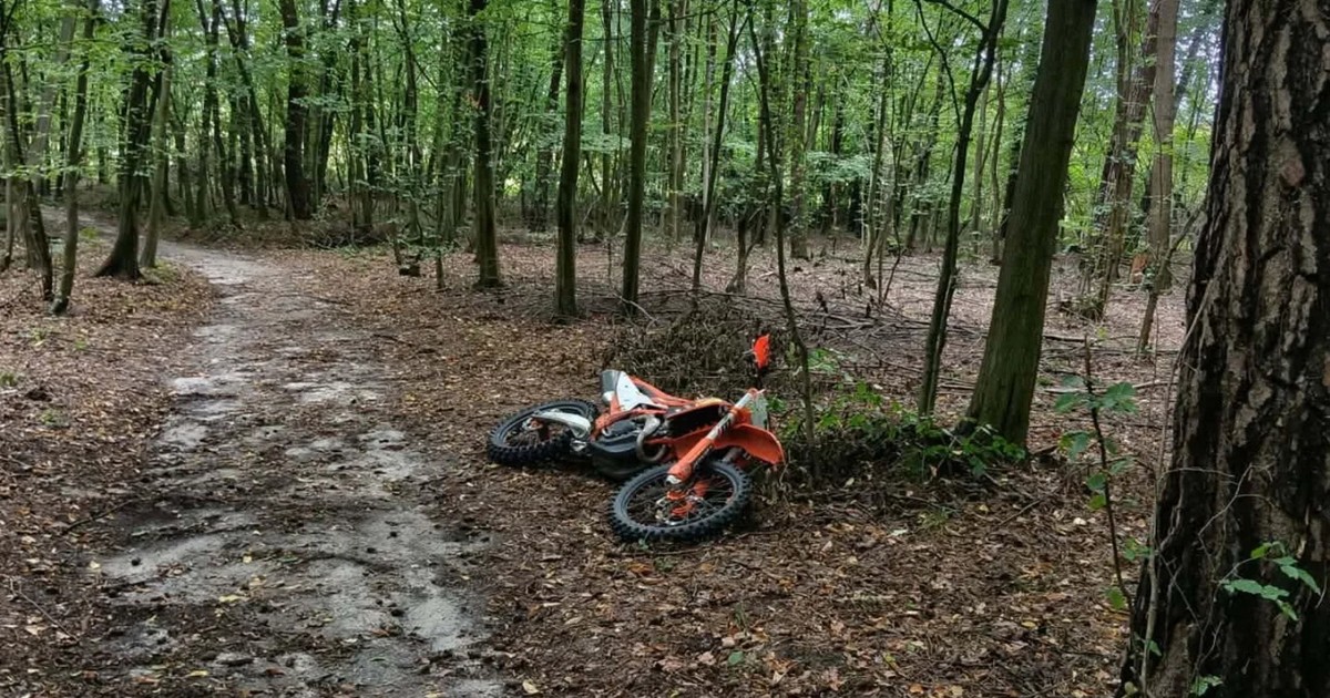Syn znalazł ciało ojca. Tragedia w lesie
