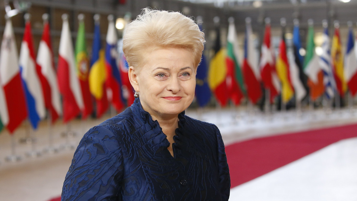 Na obronę przestrzeni powietrznej państw bałtyckich należy spojrzeć bardziej poważnie – uważa prezydent Litwy Dalia Grybauskaite. Jej zdaniem nie wystarczą jedynie środki odstraszające i dlatego należy przedsięwziąć też działania obronne.