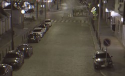 Słoń narobił w Poznaniu. Nowy sposób na walkę z problemem psich odchodów