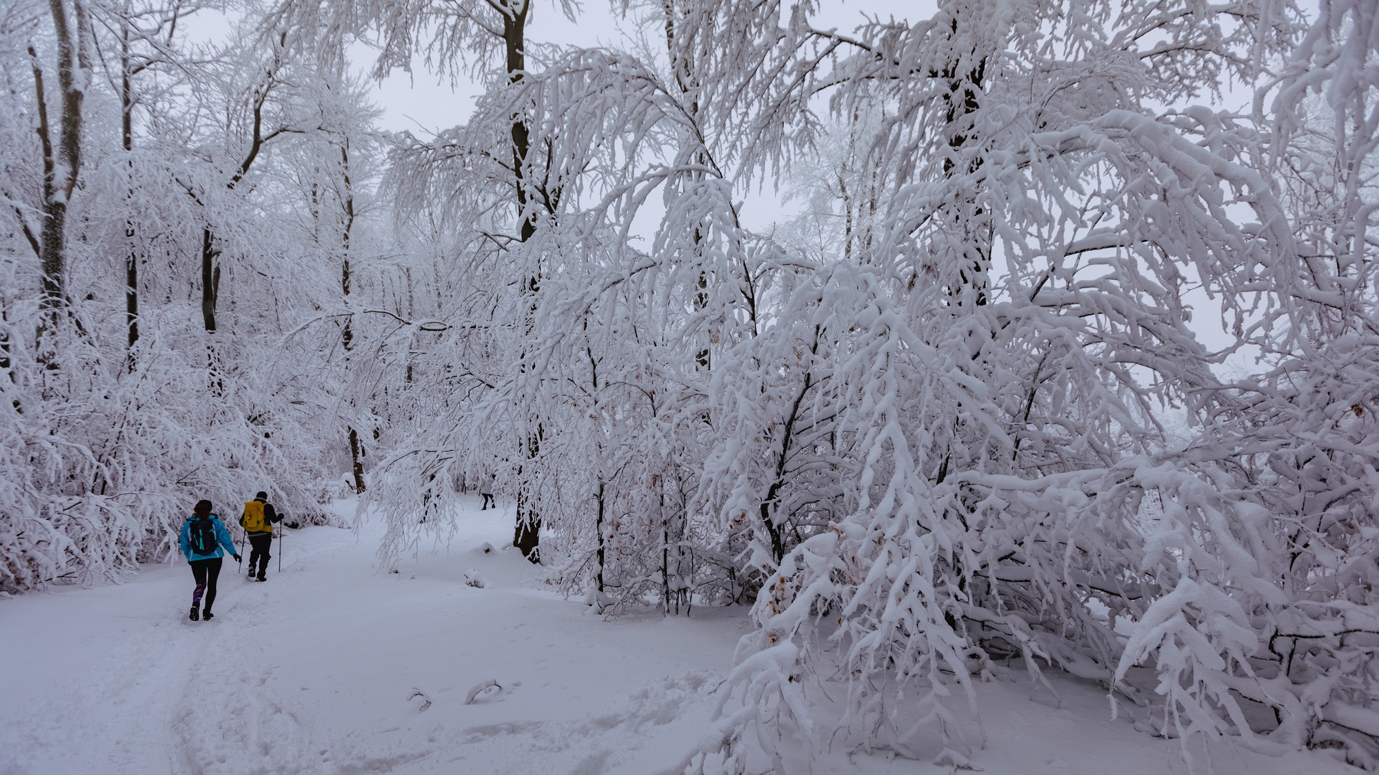 Ilustračná fotografia