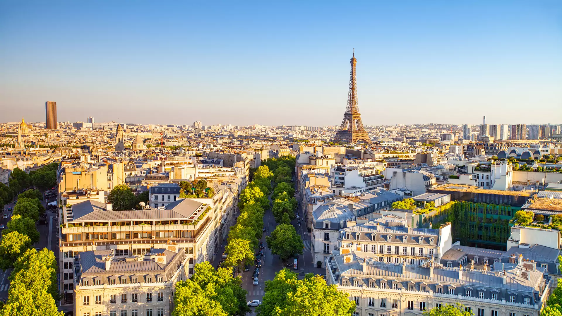 Zamiast betonować, Paryż zamienia połowę ze 140 tysięcy miejsc parkingowych na drzewa