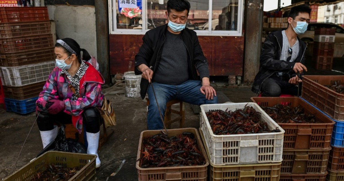 China aims to phase out slaughter and sale of live poultry [ARTICLE]