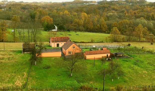Mile Kitić, emisija "Metar moga sela"