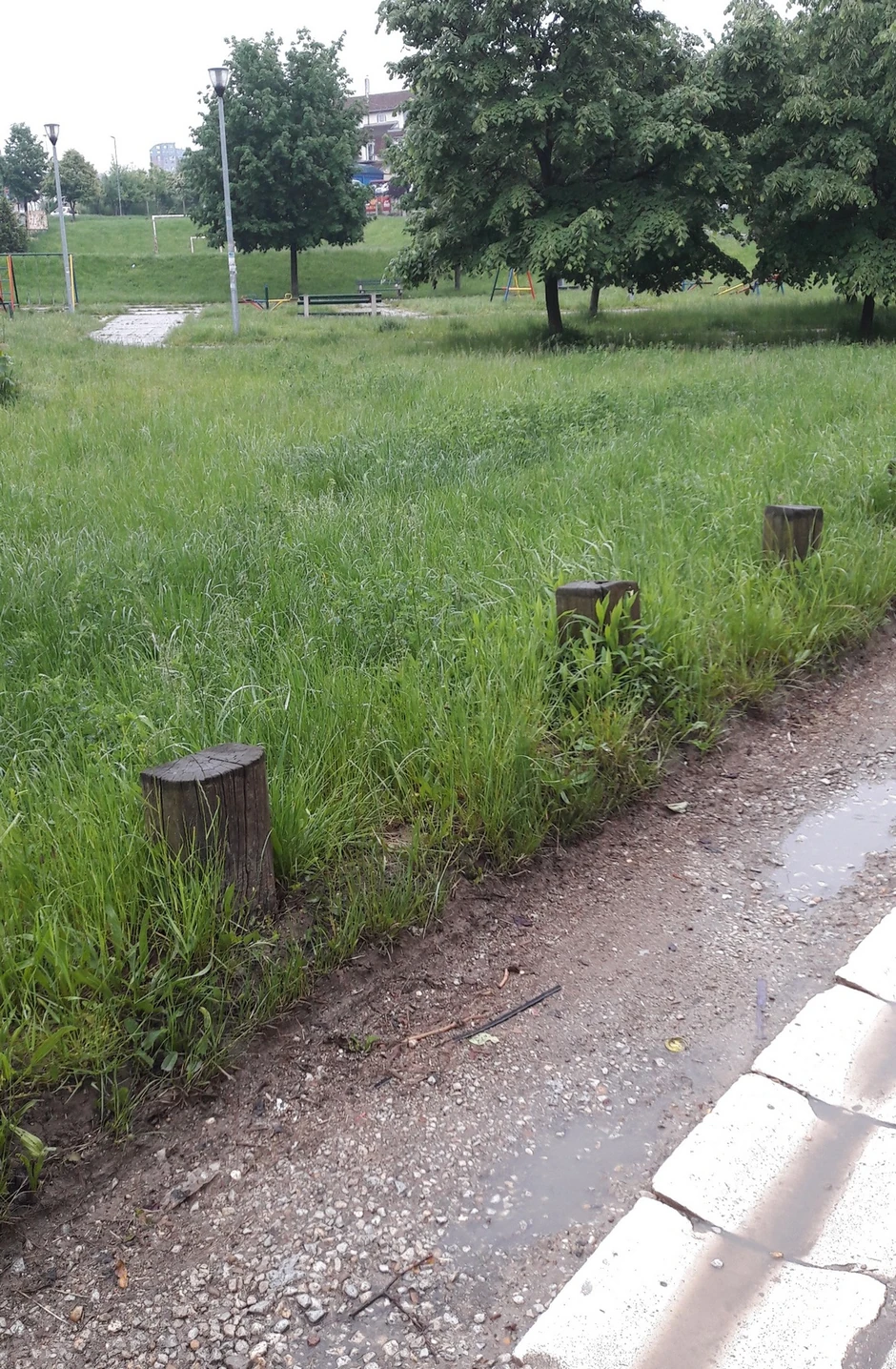 "Staze za šetanje su toliko zarasle da su postale neupotrebljive"