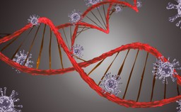 Paxlovid, doustny lek na Covid-19, zatwierdzony w Wielkiej Brytanii