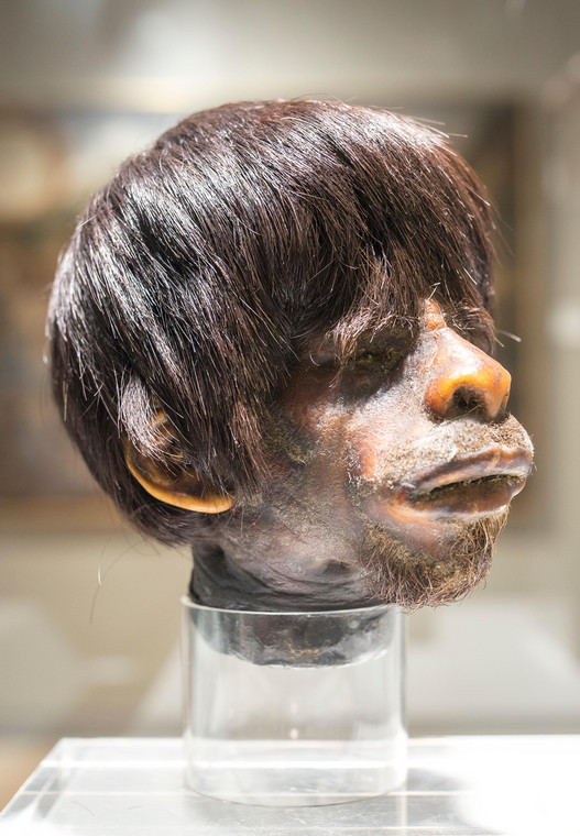 Tsantsa - głowa zmniejszona przez plemię Jivaro z Ekwadoru, Muzeum Ameryk w Madrycie
