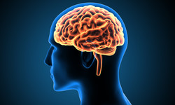 Niedotlenienie mózgu - objawy. Jakie mogą być skutki niedotlenienia mózgu?