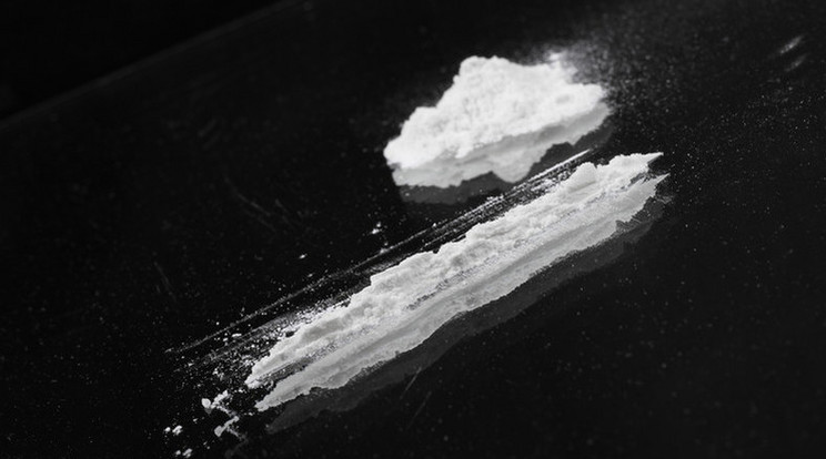 Négy mázsa kokaint találtak /Illusztráció: Northfoto