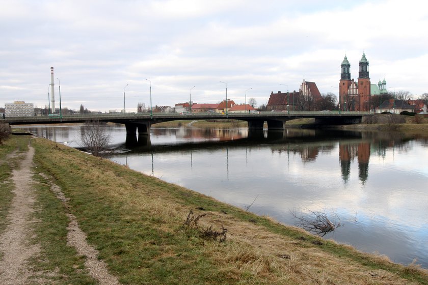 Środek insektobójczy zabił ryby w Warcie