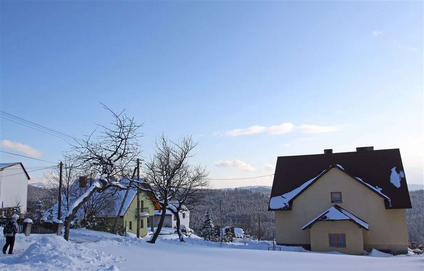 Tajemniczy truciciel psów