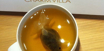 Złota rybka pływa w herbacie!