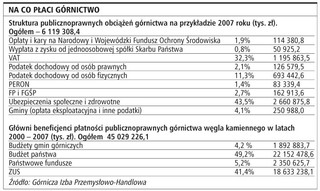 Dotacje budżetowe dla górnictwa wynikają z konieczności restrukturyzacji branży