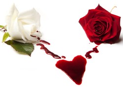 Serce pęka po stracie nie tylko w przenośni