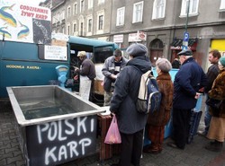 To szok! Wigilia bez karpia?