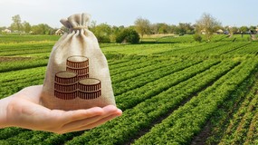 Zaliczki dopłat bezpośrednich 2025. Którzy rolnicy dostaną pieniądze pierwsi?