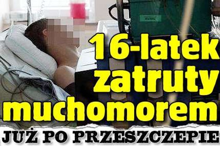 16-latek zatruty muchomorem. Już po przeszczepie