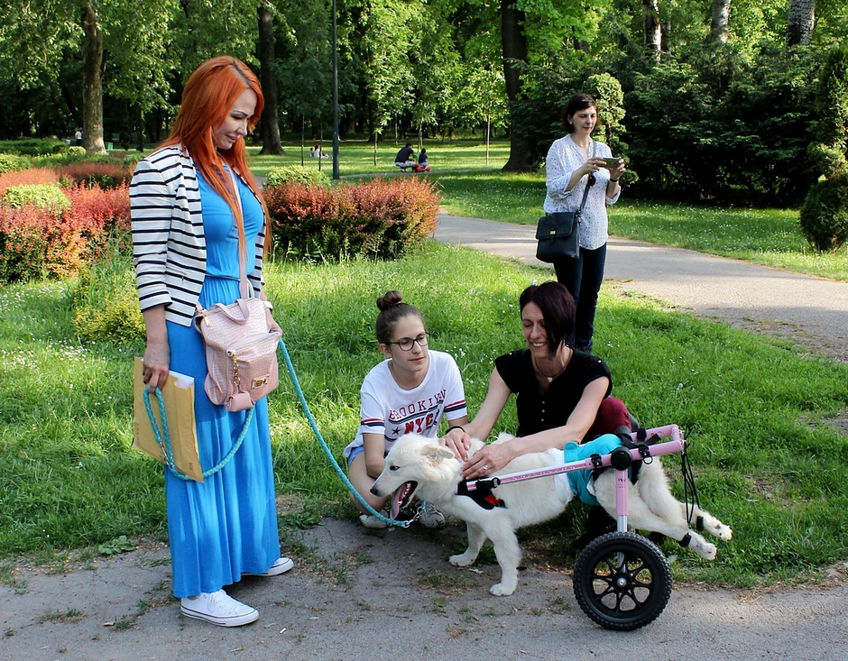 Ajša ne oseća bol. Druželjubiva je i voli pažnju.
Zbog povreda
mora da nosi pelene