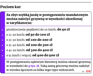 Przepisy drogowe są surowe? Nie dla notorycznych piratów