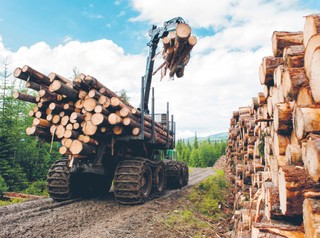 Prawie 800 mln zł zysków Lasów Państwowych ze sprzedaży drewna. Gminy chcą rekompensat za zniszczone drogi