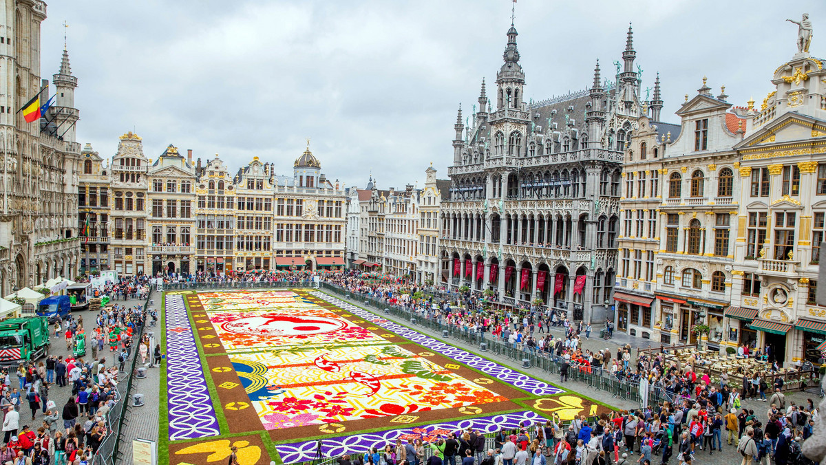 Kwiatowy dywan na Grand Place w Brukseli