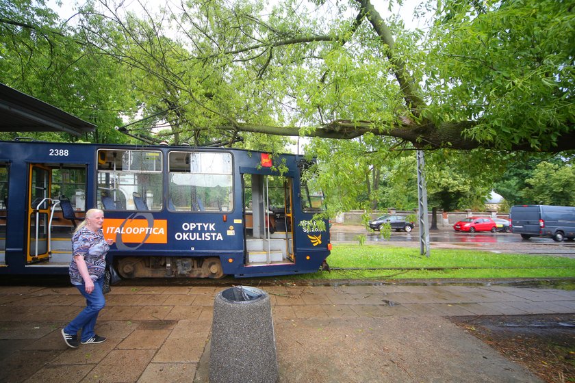 Drzewo spadło na tramwaj