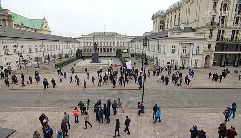 Manifestacja według TVP