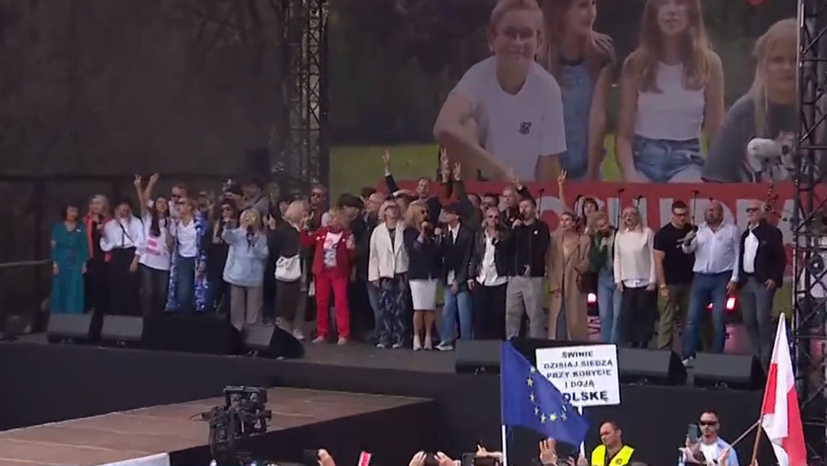 Gwiazdy zaśpiewały na Marszu Miliona Serc. Na scenie Piaseczny, Ostrowska i inni