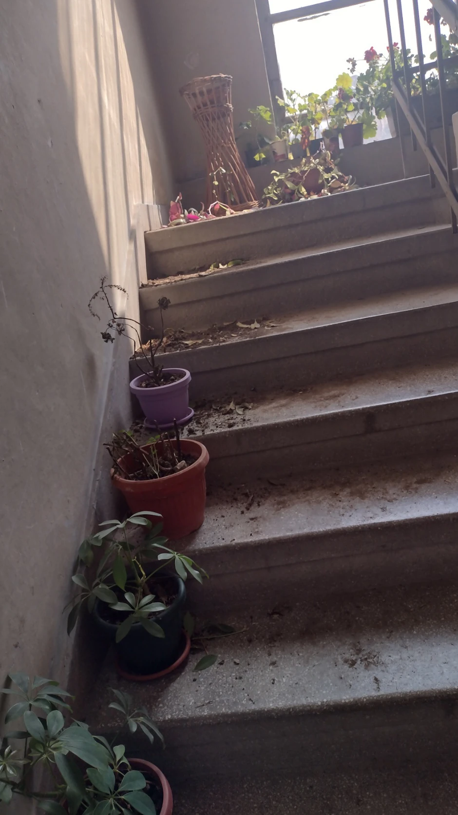 Haos u zgradi svedoči o užasu koji se sinoć odigrao