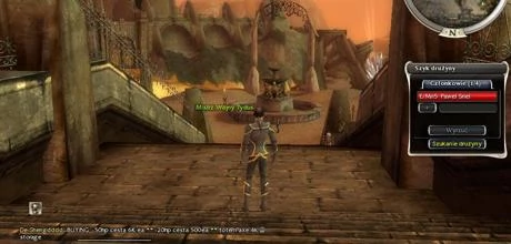 Screen z gry "Guild Wars"